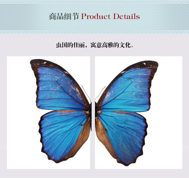 現(xiàn)代輕奢簡(jiǎn)歐動(dòng)物裝飾畫 餐廳蝴蝶標(biāo)本鋁合金框晶瓷畫 純手繪油畫 蝶舞