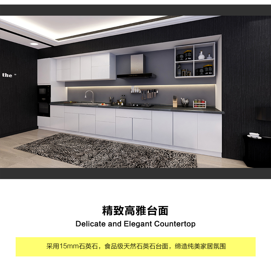 星空梵高定制櫥柜 現(xiàn)代簡約整體定制櫥柜 石英石臺面定制櫥柜 雙飾面-顆?？酒?10定制櫥柜